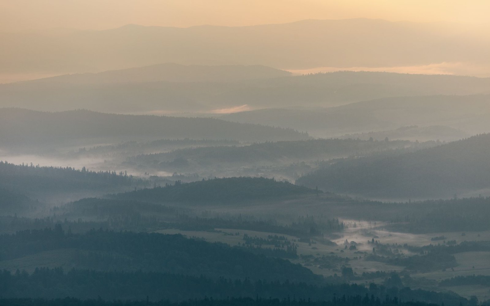 The original photograph straight from the camera: flat, hazy, low in contrast.